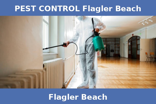 PEST CONTROL Flagler Beach